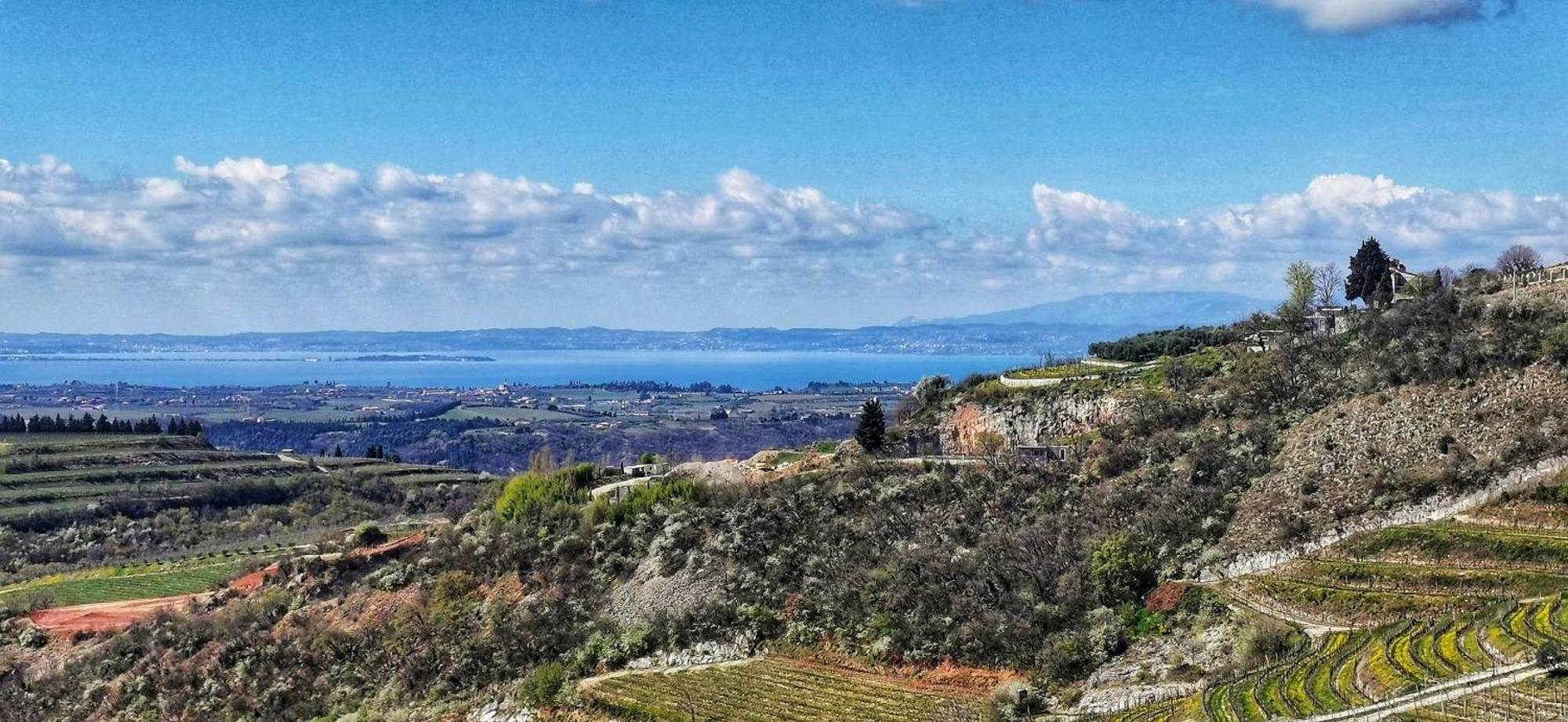 La Casa Di Lilly Βίλα SantʼAmbrogio di Valpolicella Εξωτερικό φωτογραφία